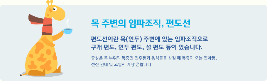 목 주변의 임파조직, 편도선 증상은 목 부위의 통증인 인후통과 음식물을 삼킬 때 통증이 오는 연하통, 
전신 권태 및 고열이 가장 흔합니다