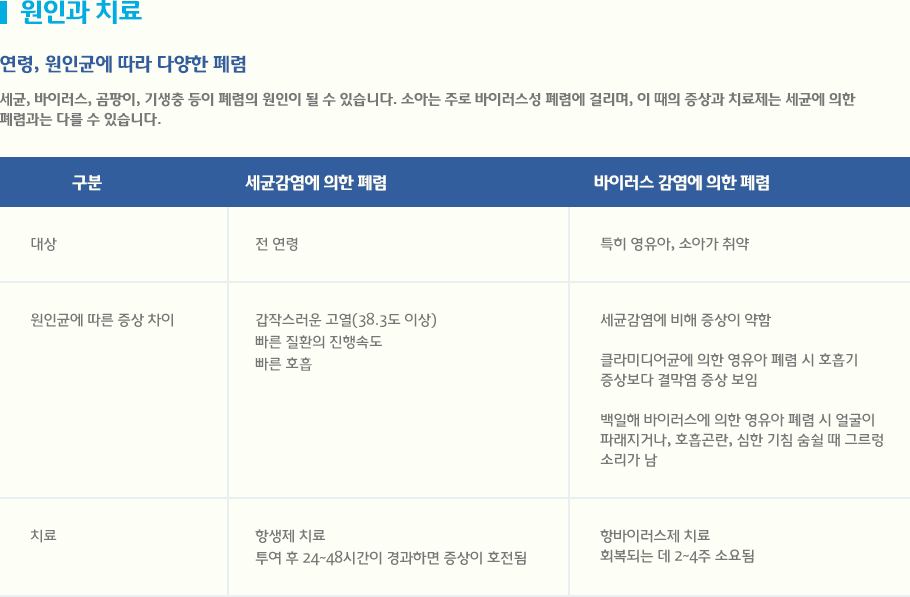 세균, 바이러스, 곰팡이, 기생충 등이 폐렴의 원인이 될 수 있습니다. 소아는 주로 바이러스성 폐렴에 걸리며, 이 때의 증상과 치료제는 세균에 의한 
폐렴과는 다를 수 있습니다