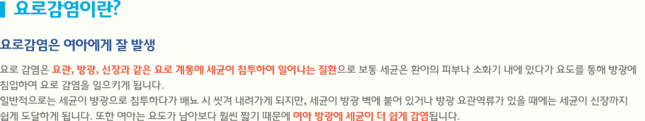 요로감염이란? 요로 감염은 요관, 방광, 신장과 같은 요로 계통에 세균이 침투하여 일어나는 질환으로 보통 세균은 환아의 피부나 소화기 내에 있다가 요도를 통해 방광에 
침입하여 요로 감염을 일으키게 됩니다. 