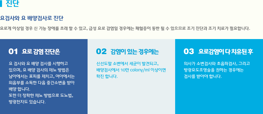 진단 요로계 이상일 경우 신 기능 장애를 초래 할 수 있고, 급성 요로 감염일 경우에는 패혈증이 동반 될 수 있으므로 조기 진단과 조기 치료가 필요합니다.