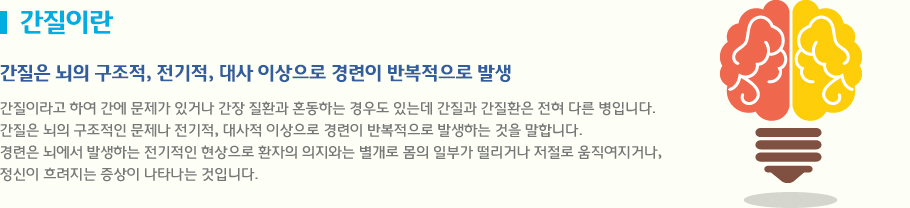 간질이란 간질은 뇌의 구조적, 전기적, 대사 이상으로 경련이 반복적으로 발생