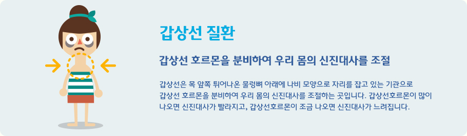 갑상선 질환 갑상선은 목 앞쪽 튀어나온 물렁뼈 아래에 나비 모양으로 자리를 잡고 있는 기관으로 
갑상선 호르몬을 분비하여 우리 몸의 신진대사를 조절하는 곳입니다. 갑상선호르몬이 많이 
나오면 신진대사가 빨라지고, 갑상선호르몬이 조금 나오면 신진대사가 느려집니다.